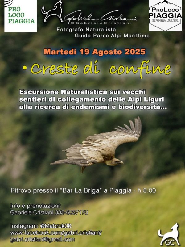 2025 Creste di confine