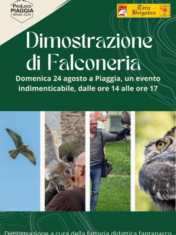 2025 falconeria