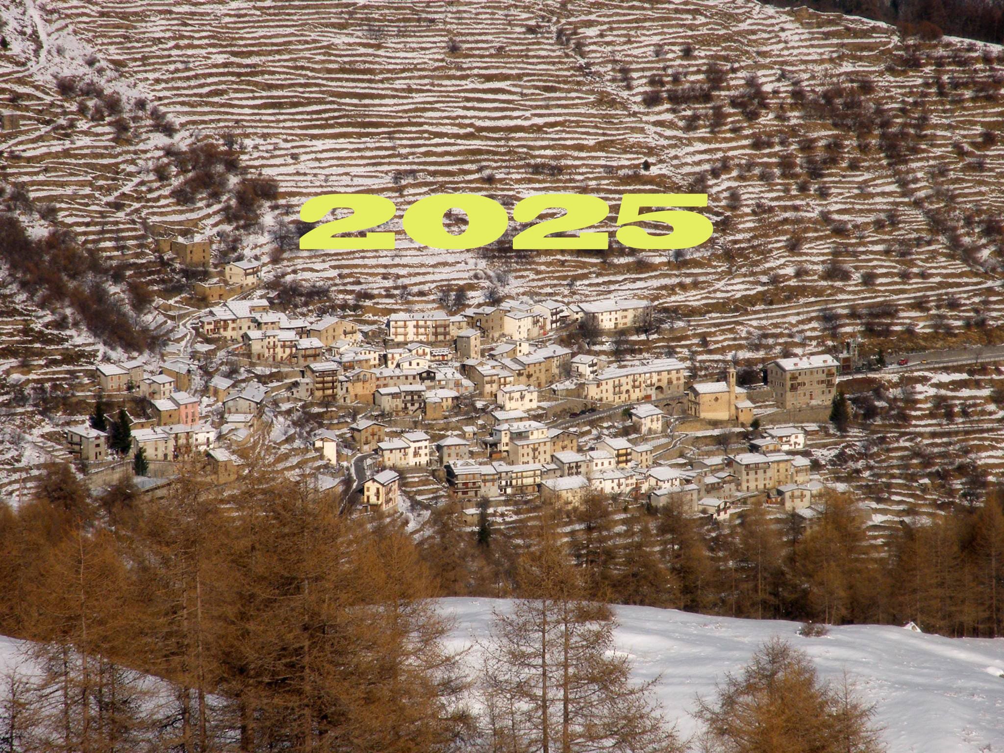 Cosa abbiamo fatto